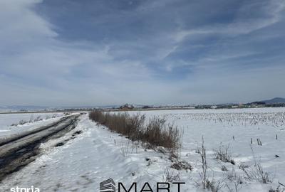 Teren de 425 mp, în Stupini - 1