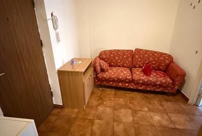 Apartament cu 2 camere semidecomandat, mobilat în Gorjului - 9