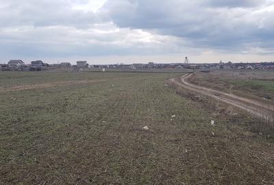 Teren de 972 mp, în Lazu - 1