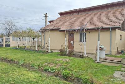 Casă cu 3 camere în Stâlpu - 16