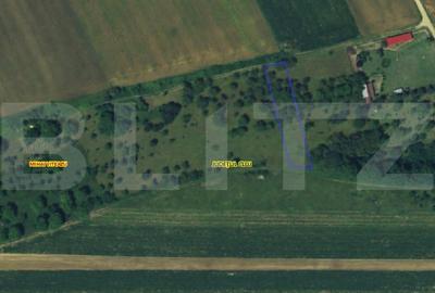 Teren Construcții intravilan de 1268 mp, în Mihai Viteazu