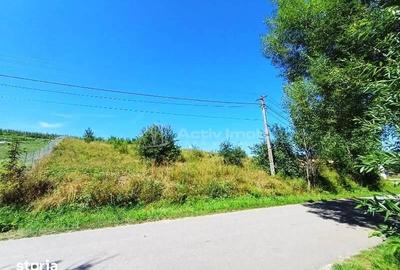 Teren de 2000 mp, în Ciurila