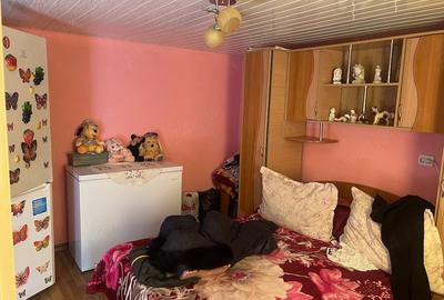 Casă cu Teren 1263 Mp în Valea Mărului