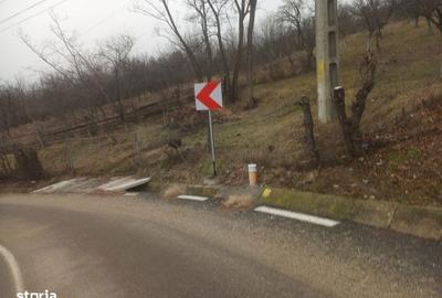 Teren de 3100 mp, în Berislăvești - 5