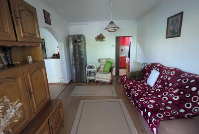 Casă individuală cu 3 camere cu Teren 250 Mp în Gojdu - 6