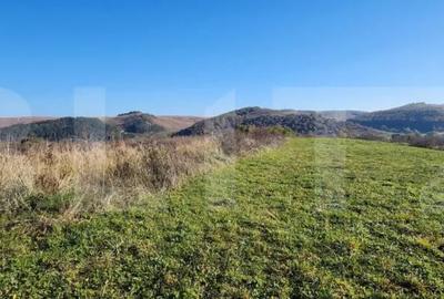 Teren de 963 mp, în Gilău - 4