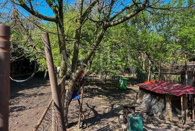 Casă individuală cu 3 camere cu Teren 601 Mp în Gruia - 2