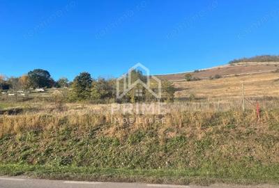 Teren de 700 mp, în Hăpria - 1