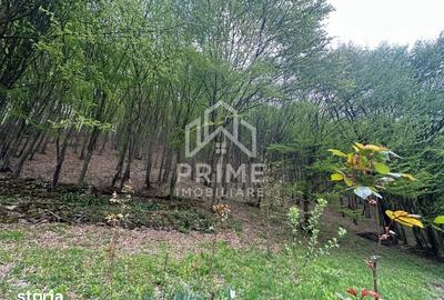 Casă cu 5 camere cu Teren 900 Mp în Ighiu
