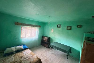Casă cu Teren 1500 Mp în Târgu Logrești - 4