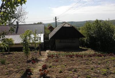 Casă în Rafaila - 3