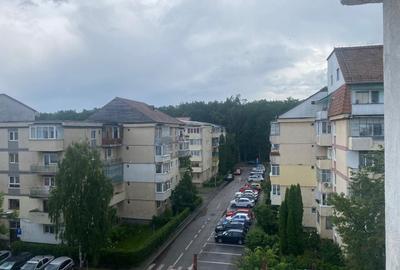 Apartament cu 3 camere decomandat în Valea Aurie - 10