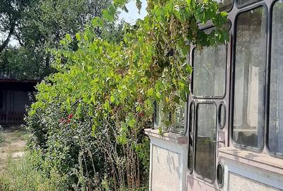 Casă cu 3 camere cu Teren 856 Mp în Socetu