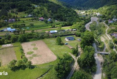 Teren de 1800 mp, în Pângărați