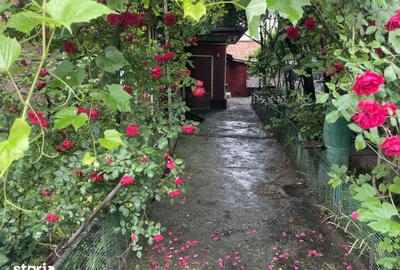Casă cu 3 camere cu Teren 307 Mp în Ion Creangă - 1