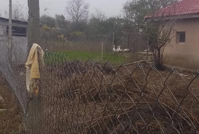 Teren de 2000 mp, în Istria