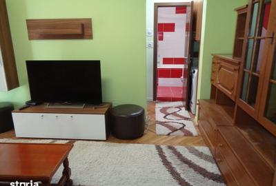 Apartament cu 2 camere în Șega - 3
