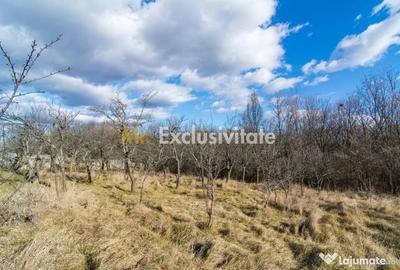 Casă cu 3 camere cu Teren 4145 Mp în Vedea