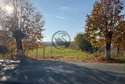 Teren de 12650 mp, în Ghirdoveni - 8