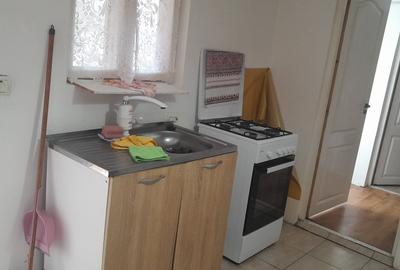 Casă individuală cu 2 camere cu Canalizare în Mânzălești - 13