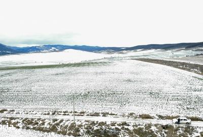 Teren de 4800 mp, în Ciritei - 2