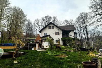 Casă individuală cu 5 camere cu Teren 4825 Mp în Est - 3