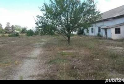 Spațiu comercial, de 8,438 mp, în Cobadin - 7
