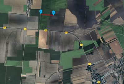 Teren agricol extravilan de 53211 mp, în Merii Petchii - 5