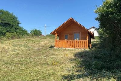 Teren de 665 mp, în Tăuții-Măgherăuș - 1