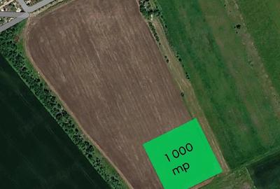 Teren de 1000 mp, în Vest