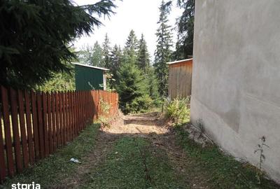 Teren de 500 mp, în Băișoara - 4