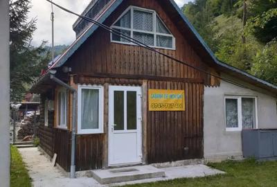 Casă cu 3 camere cu Teren 1951 Mp în Băișoara - 6