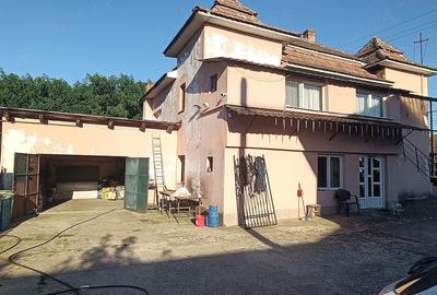 Casă cu Teren 2000 Mp în Tileagd - 3