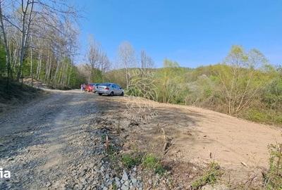 Teren de 868 mp, în Valea Chioarului