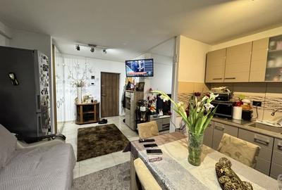 Apartament cu 2 camere decomandat, mobilat în Calea Severinului