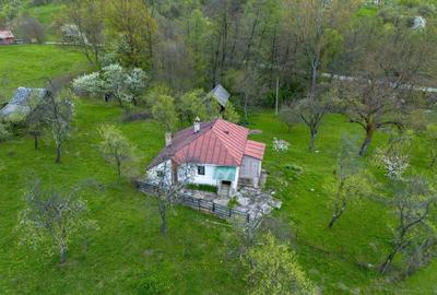 Casă cu 2 camere în Berislăvești - 1