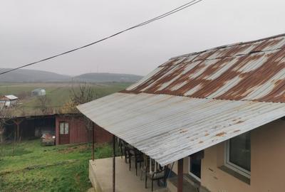 Casă individuală cu 4 camere cu Teren 7000 Mp în Argetoaia - 2