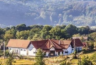 Casă cu 6 camere cu Teren 1973 Mp în Isverna - 10