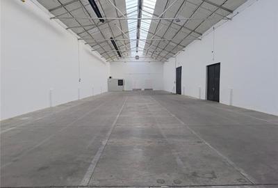 Spațiu industrial, de 1,100 mp, în Mureșeni