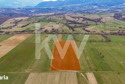 Teren de 1570 mp, în Plaiul Foii - 7