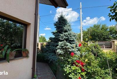 Casă cu 5 camere cu Teren 761 Mp în Aroneanu - 17
