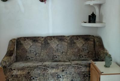 Apartament cu 2 camere decomandat în Uric - 2