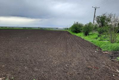 Teren de 4500 mp, în Central