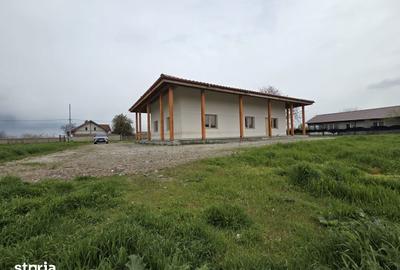 Casă cu Teren 1400 Mp în Valea Nucarilor - 3