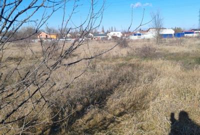 Teren Construcții intravilan de 6740 mp, în Dragomirești-Deal - 4