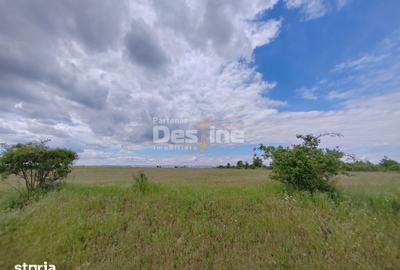 Teren de 114000 mp, în Ariceștii Rahtivani - 8