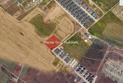 Teren Construcții intravilan de 5000 mp, în Sud-Est - 2