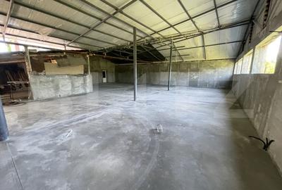 Spațiu industrial, de 223 mp, în Bariera Vâlcii