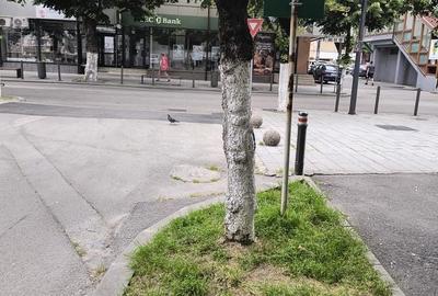 Spațiu comercial, de 22 mp, în Central - 3