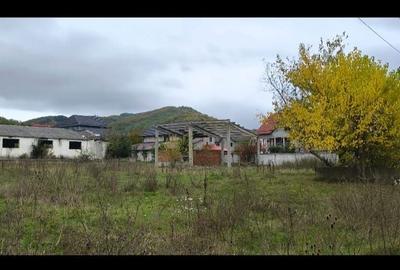 Teren de 6000 mp, în Calvini - 2
